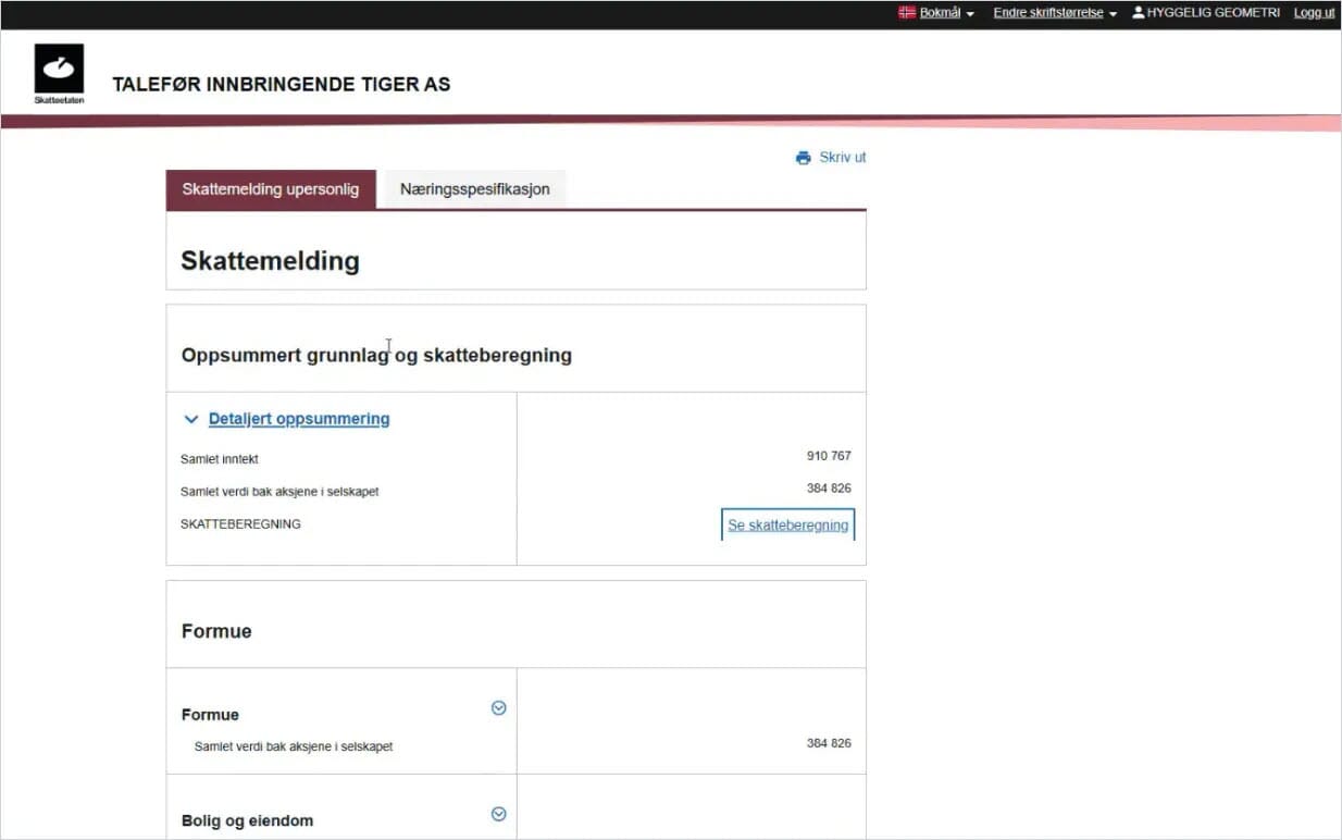 CS.Steg 4 Skattemelding 3.UM.jpg