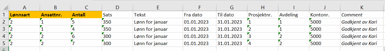 cs.Importere variable l&oslash;nnsposter fra excel til l&oslash;nnsavregning.um.6.png